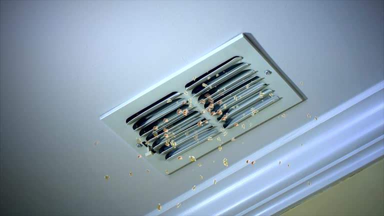 Best Ductwork Cleaning Services  in Chattanooga, TN